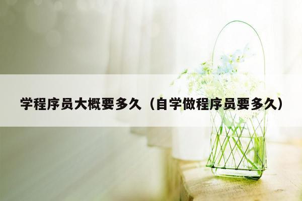 学程序员大概要多久（自学做程序员要多久）