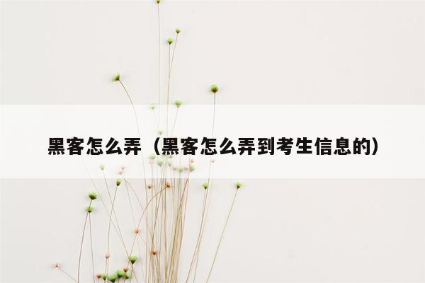 黑客怎么弄（黑客怎么弄到考生信息的）