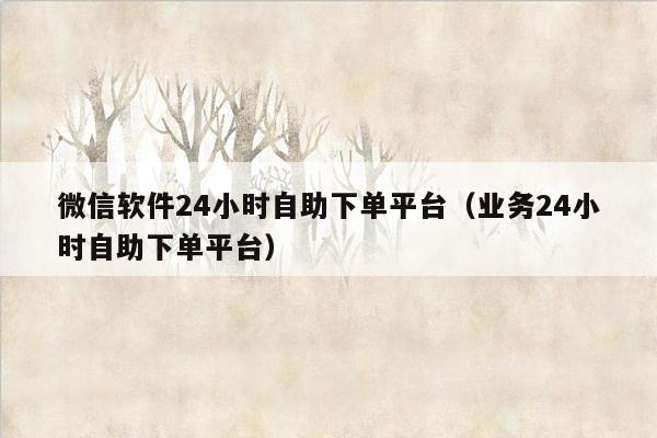 微信软件24小时自助下单平台（业务24小时自助下单平台）