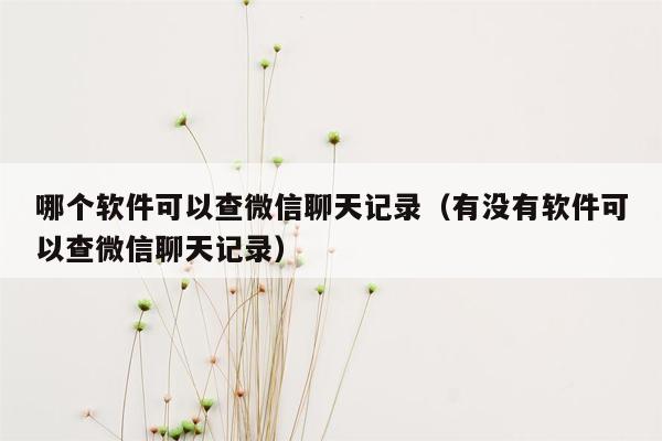 哪个软件可以查微信聊天记录（有没有软件可以查微信聊天记录）