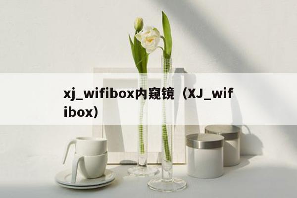 xj_wifibox内窥镜（XJ_wifibox）