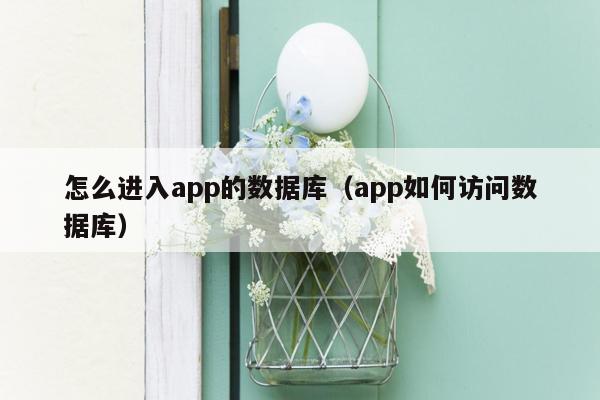 怎么进入app的数据库（app如何访问数据库）