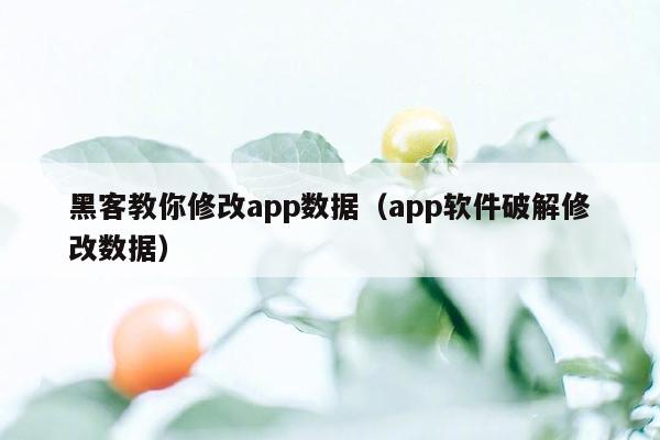 黑客教你修改app数据（app软件破解修改数据）