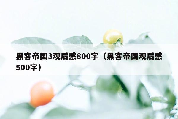 黑客帝国3观后感800字（黑客帝国观后感500字）