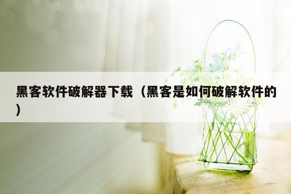 黑客软件破解器下载（黑客是如何破解软件的）