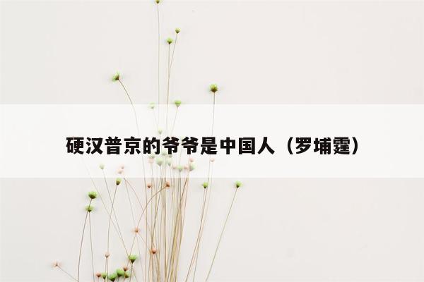 硬汉普京的爷爷是中国人（罗埔霆）