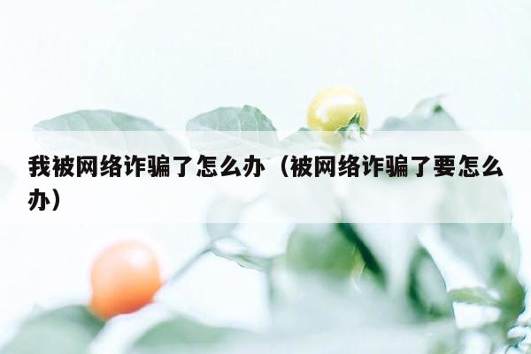 我被网络诈骗了怎么办（被网络诈骗了要怎么办）