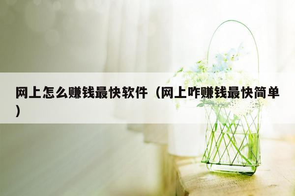 网上怎么赚钱最快软件（网上咋赚钱最快简单）