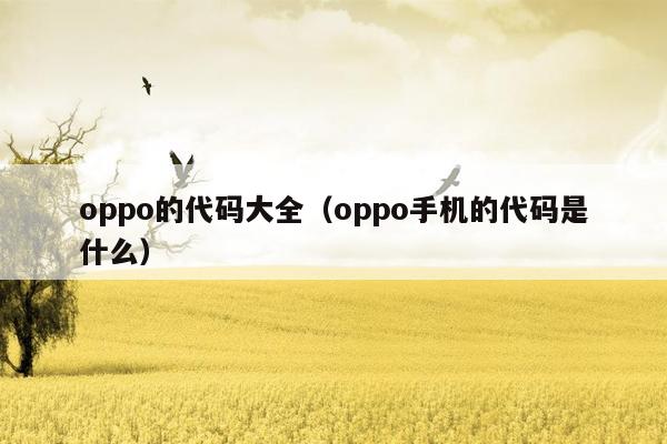 oppo的代码大全（oppo手机的代码是什么）