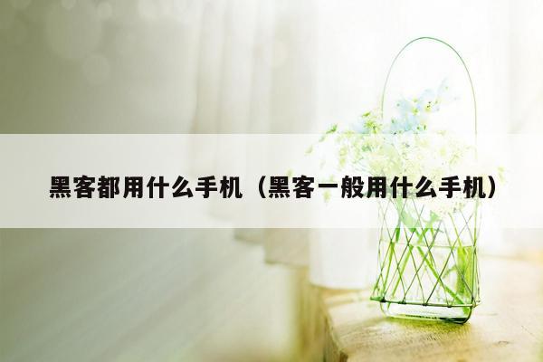 黑客都用什么手机（黑客一般用什么手机）