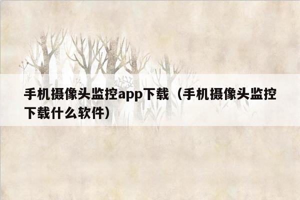 手机摄像头监控app下载（手机摄像头监控下载什么软件）