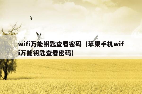 wifi万能钥匙查看密码（苹果手机wifi万能钥匙查看密码）