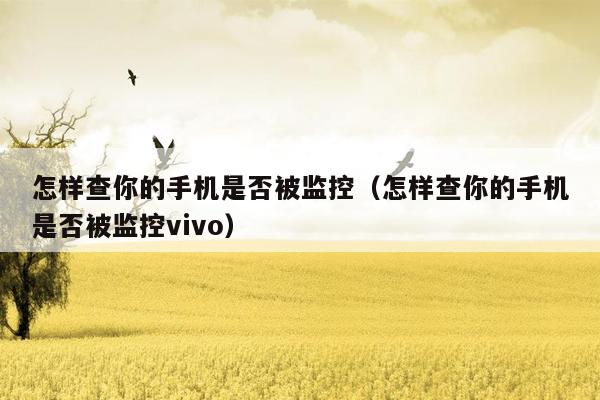 怎样查你的手机是否被监控（怎样查你的手机是否被监控vivo）