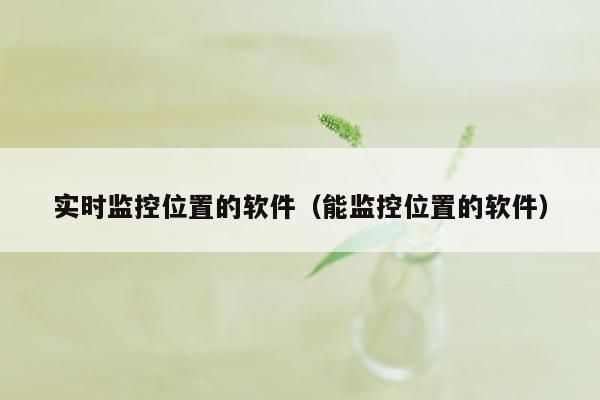 实时监控位置的软件（能监控位置的软件）