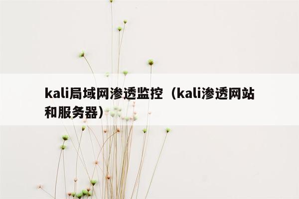 kali局域网渗透监控（kali渗透网站和服务器）