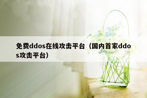 免费ddos在线攻击平台（国内首家ddos攻击平台）