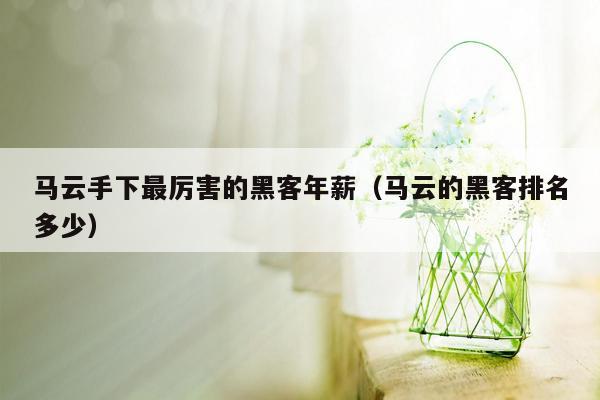 马云手下最厉害的黑客年薪（马云的黑客排名多少）