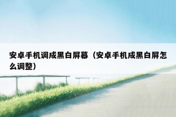 安卓手机调成黑白屏幕（安卓手机成黑白屏怎么调整）