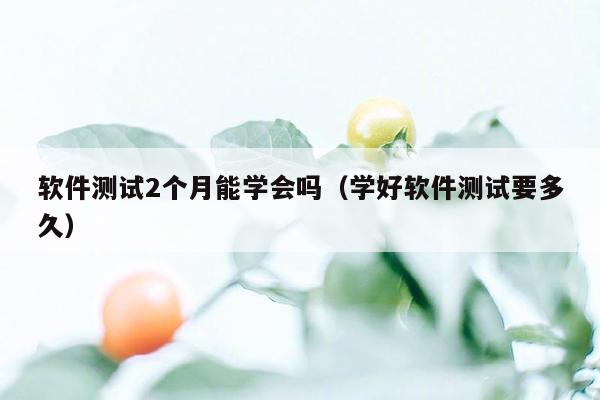 软件测试2个月能学会吗（学好软件测试要多久）