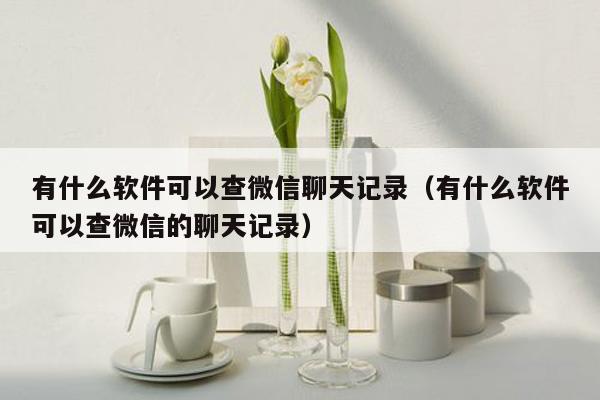 有什么软件可以查微信聊天记录（有什么软件可以查微信的聊天记录）