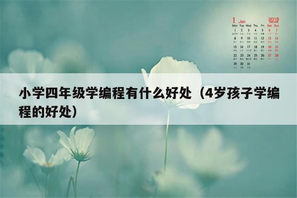 小学四年级学编程有什么好处（4岁孩子学编程的好处）