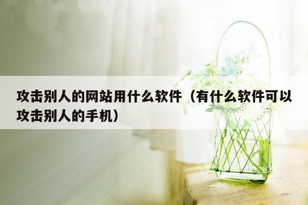 攻击别人的网站用什么软件（有什么软件可以攻击别人的手机）