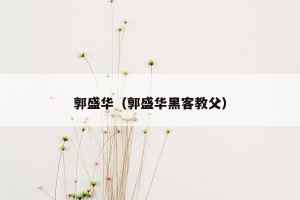 郭盛华（郭盛华黑客教父）