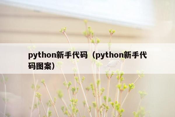 python新手代码（python新手代码图案）