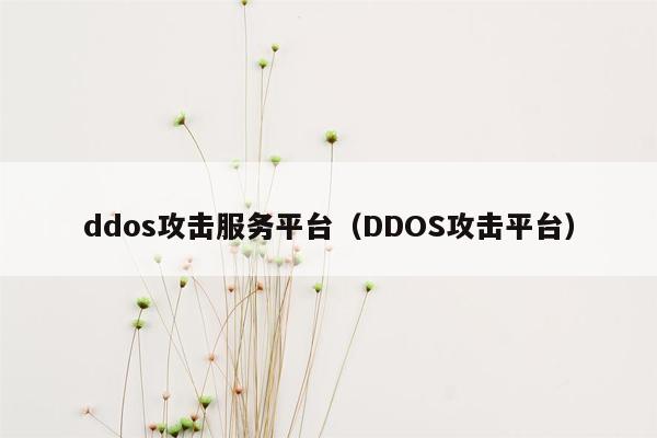 ddos攻击服务平台（DDOS攻击平台）