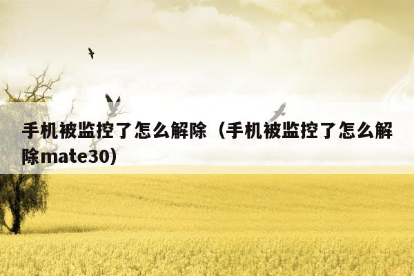 手机被监控了怎么解除（手机被监控了怎么解除mate30）