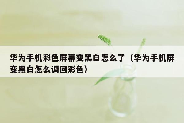 华为手机彩色屏幕变黑白怎么了（华为手机屏变黑白怎么调回彩色）