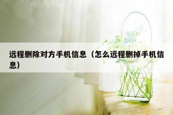 远程删除对方手机信息（怎么远程删掉手机信息）