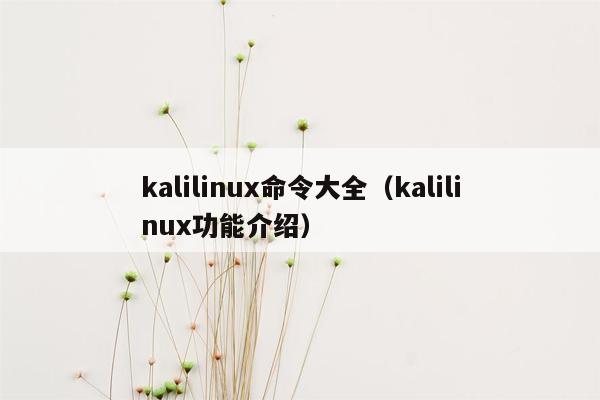 kalilinux命令大全（kalilinux功能介绍）