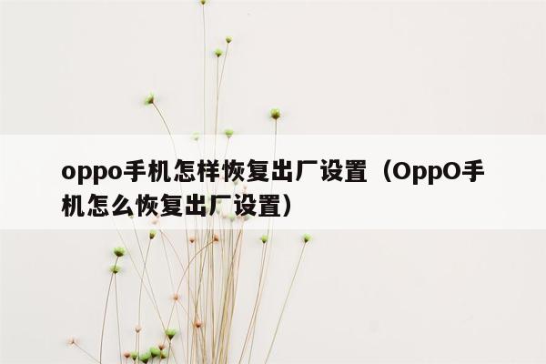 oppo手机怎样恢复出厂设置（OppO手机怎么恢复出厂设置）