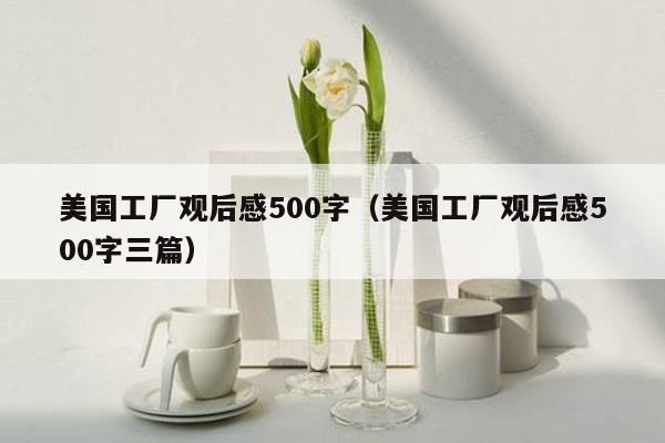 美国工厂观后感500字（美国工厂观后感500字三篇）