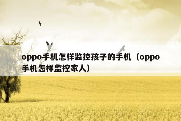 oppo手机怎样监控孩子的手机（oppo手机怎样监控家人）