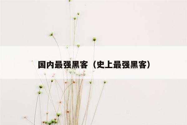 国内最强黑客（史上最强黑客）