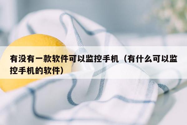 有没有一款软件可以监控手机（有什么可以监控手机的软件）