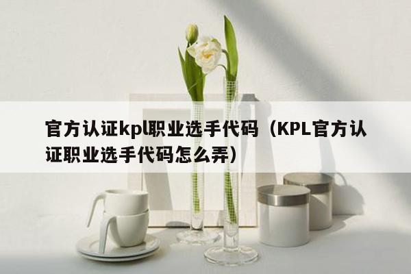 官方认证kpl职业选手代码（KPL官方认证职业选手代码怎么弄）