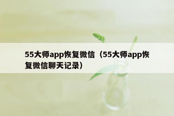 55大师app恢复微信（55大师app恢复微信聊天记录）