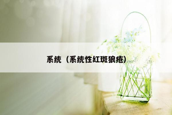 系统（系统性红斑狼疮）