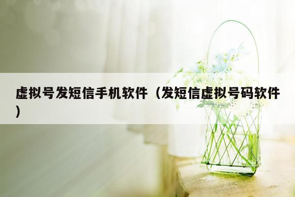 虚拟号发短信手机软件（发短信虚拟号码软件）