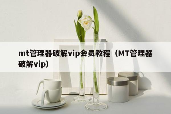 mt管理器破解vip会员教程（MT管理器破解vip）