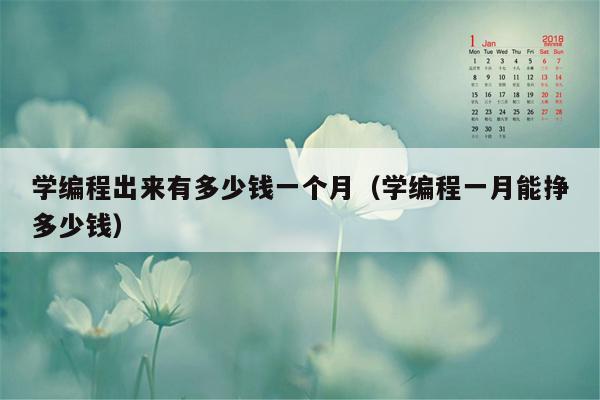 学编程出来有多少钱一个月（学编程一月能挣多少钱）