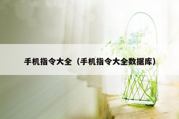 手机指令大全（手机指令大全数据库）