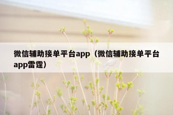 微信辅助接单平台app（微信辅助接单平台app雷霆）