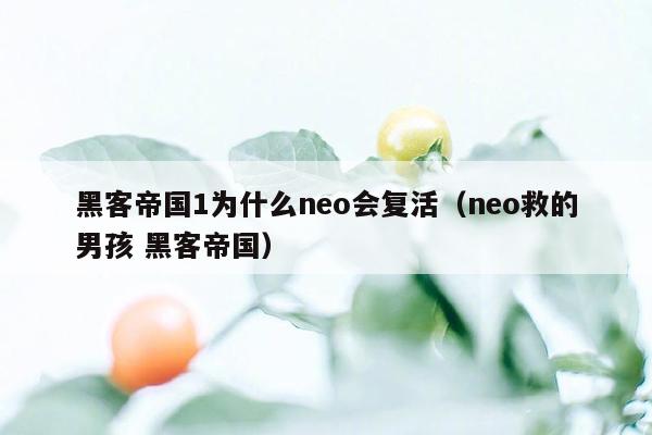 黑客帝国1为什么neo会复活（neo救的男孩 黑客帝国）