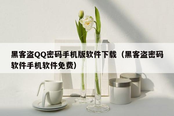 黑客盗QQ密码手机版软件下载（黑客盗密码软件手机软件免费）