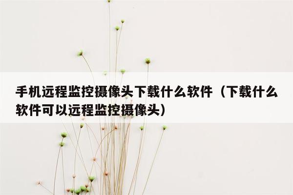 手机远程监控摄像头下载什么软件（下载什么软件可以远程监控摄像头）