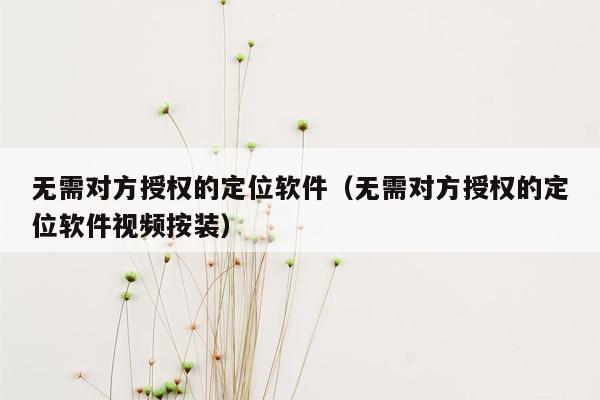 无需对方授权的定位软件（无需对方授权的定位软件视频按装）